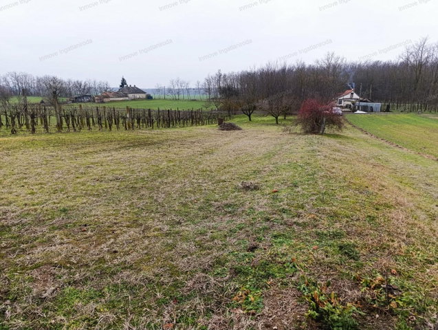 Eladó telek, Buzsákon 7.99 M Ft / költözzbe.hu