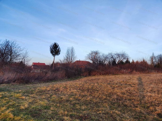Eladó mezogazdasagi ingatlan, Szentgyörgyváron 3.5 M Ft