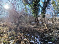 Eladó mezogazdasagi ingatlan, Bakonygyiróton 6.5 M Ft