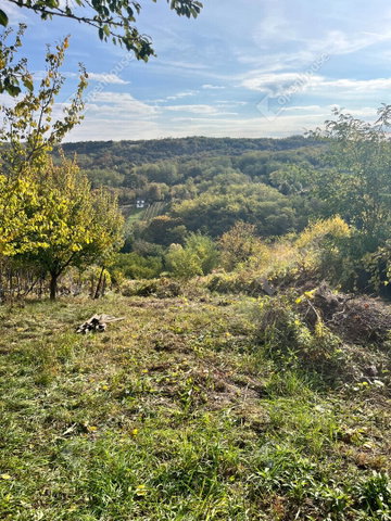 Eladó telek, Pethőhenyen 1.5 M Ft / költözzbe.hu