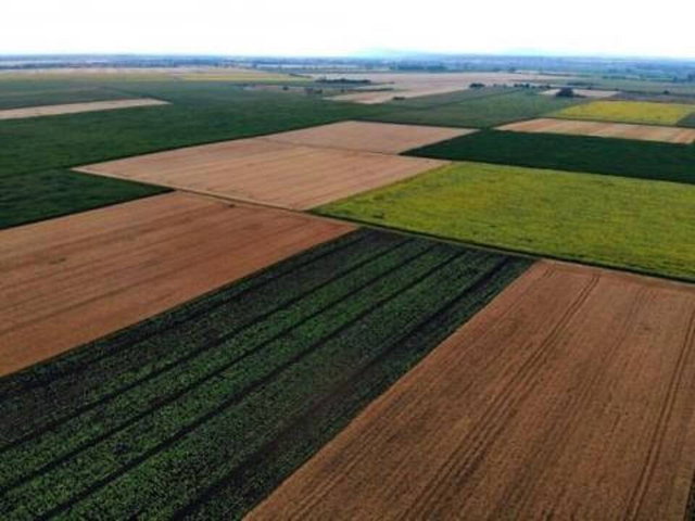 Eladó mezogazdasagi ingatlan, Kunágotán 0.7 M Ft