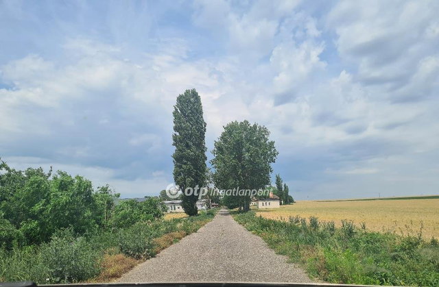 Eladó mezogazdasagi ingatlan, Tiszalúcon 315 M Ft