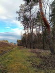 Eladó mezogazdasagi ingatlan, Győrött 10 M Ft
