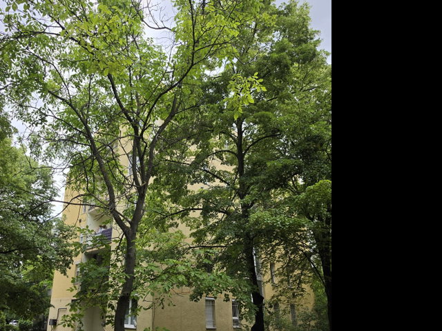Eladó téglalakás, Diósdon 72 M Ft, 2 szobás