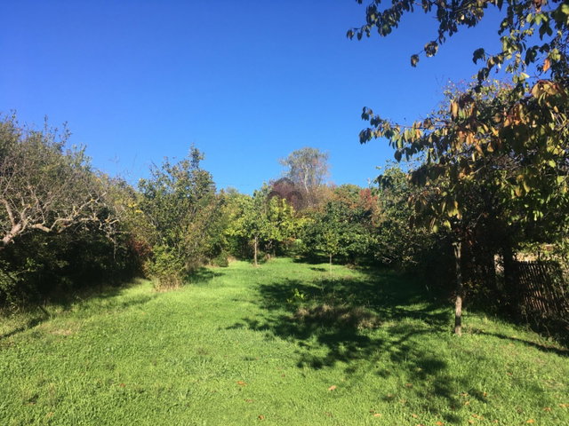 Eladó családi ház, Balatonalmádiban 181 M Ft, 6 szobás