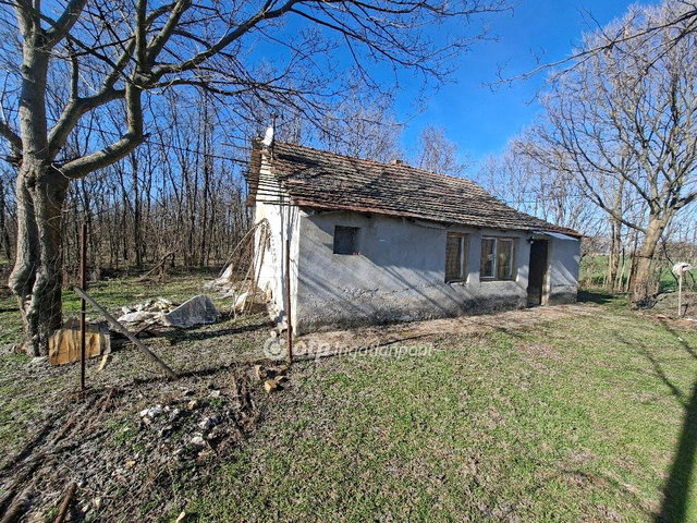 Eladó mezogazdasagi ingatlan, Petőfiszálláson 10 M Ft
