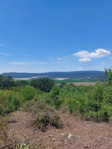 Eladó mezogazdasagi ingatlan, Héregen 3.8 M Ft
