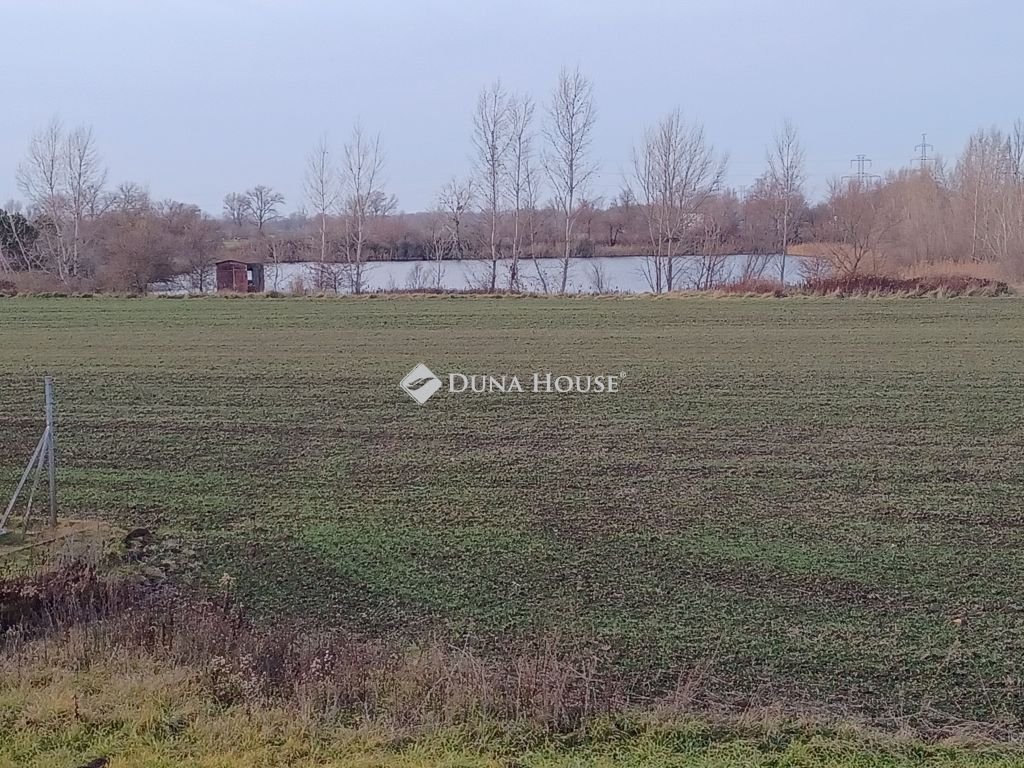 Telek · 100100 m² · 163.000.000 Ft