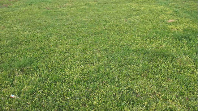 Eladó telek, Igalon 3.35 M Ft / költözzbe.hu