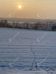 Eladó telek, Öreglakon 11.616 M Ft / költözzbe.hu
