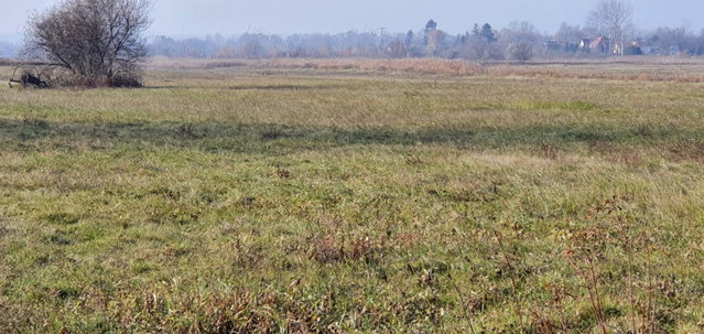 Eladó mezogazdasagi ingatlan, Balatonkeresztúron 5.5 M Ft