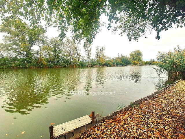 Eladó telek, Gyomaendrődön 29.5 M Ft / költözzbe.hu