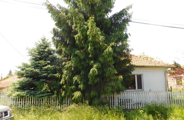Eladó családi ház, Tiszalúcon 9.52 M Ft, 1+1 szobás