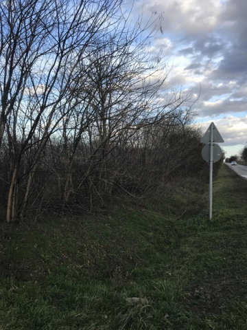 Eladó mezogazdasagi ingatlan, Szentesen 0.7 M Ft