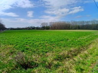 Eladó mezogazdasagi ingatlan, Nemesgulácson 20.4 M Ft