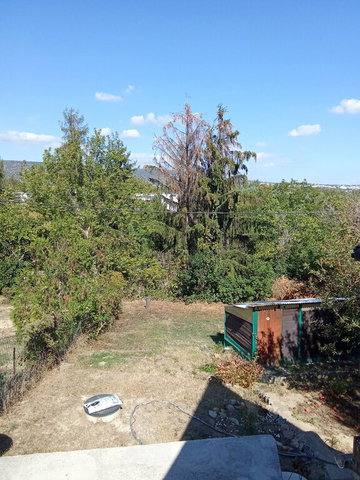 Eladó családi ház, Budapesten, XI. kerületben 22 M Ft, 1 szobás