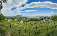 Eladó nyaraló, Hegymagason 179 M Ft, 2+1 szobás