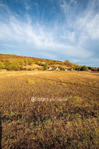 Eladó telek, Szekszárdon 7 M Ft / költözzbe.hu