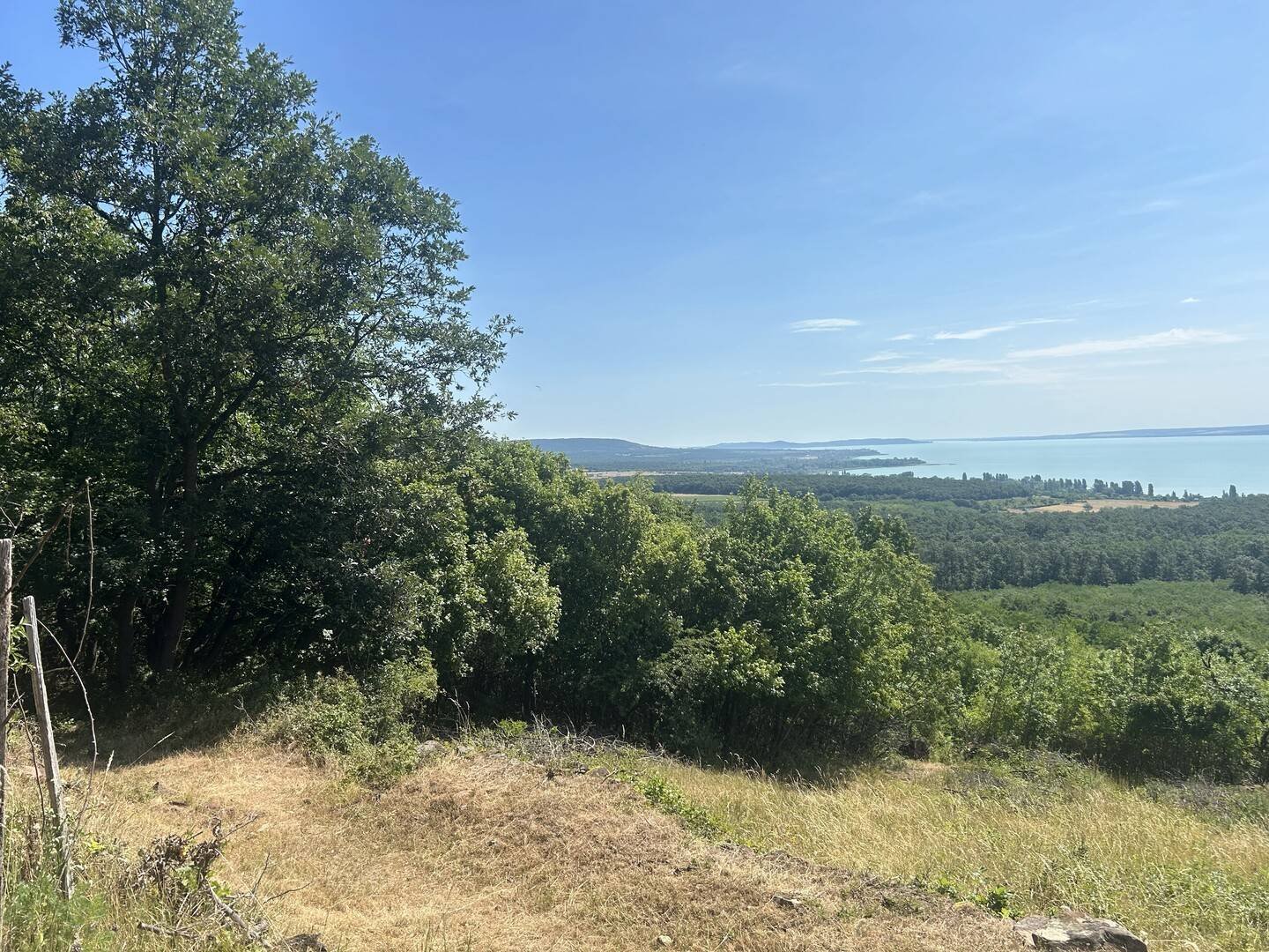 3234m² · 12.990.000 ft