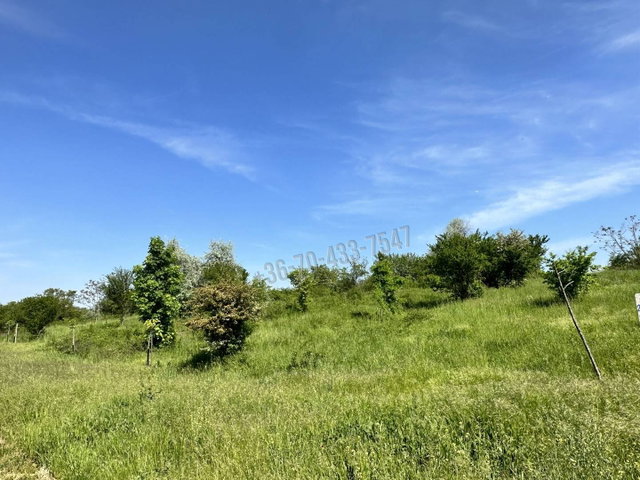 Eladó telek, Törökbálinton 36.7 M Ft / költözzbe.hu