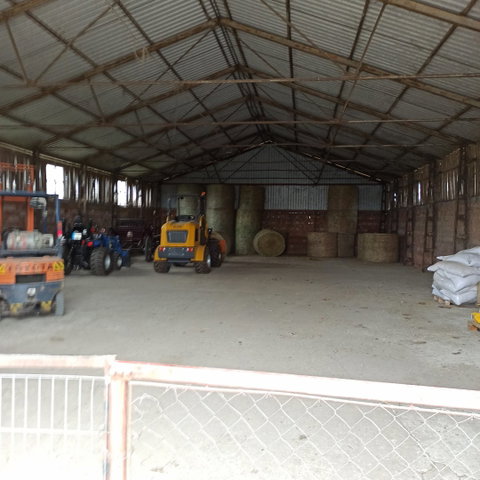 Eladó mezogazdasagi ingatlan, Tiszajenőn 420 M Ft