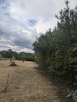 Eladó telek, Gárdonyban 11 M Ft / költözzbe.hu