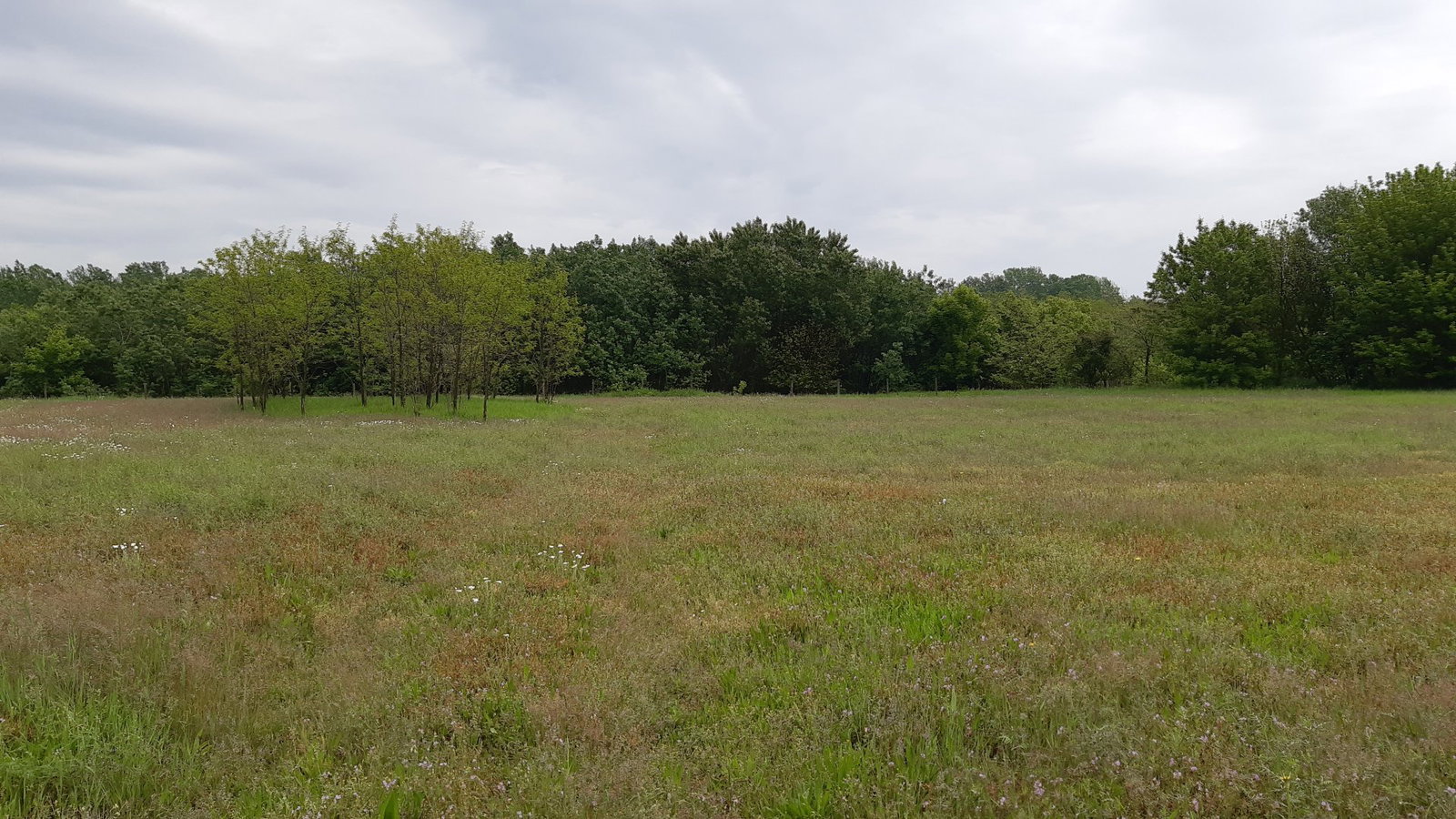 Telek · 12446 m² · 15.790.000 Ft