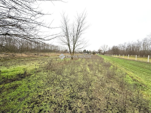 Eladó telek, Albertirsán 2.5 M Ft / költözzbe.hu