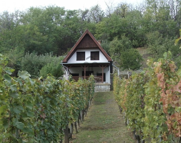 Eladó családi ház, Szekszárdon 7.4 M Ft, 1 szobás