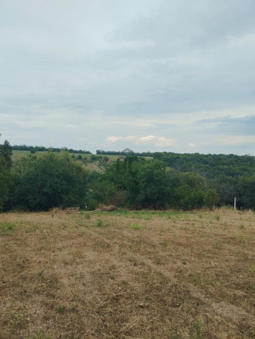 Eladó telek, Bálványoson 12.4 M Ft / költözzbe.hu
