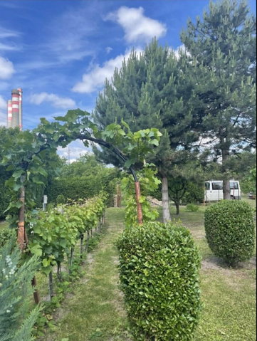 Eladó mezogazdasagi ingatlan, Győrött 10 M Ft