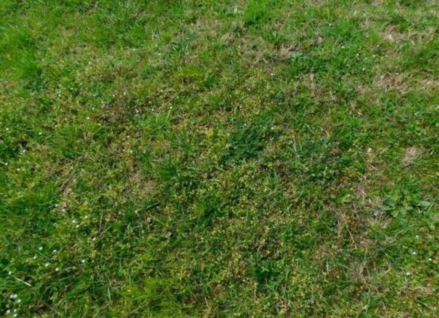 Eladó mezogazdasagi ingatlan, Ságváron 3.6 M Ft