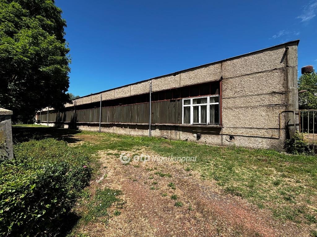 1220m² · 130.000.000 ft