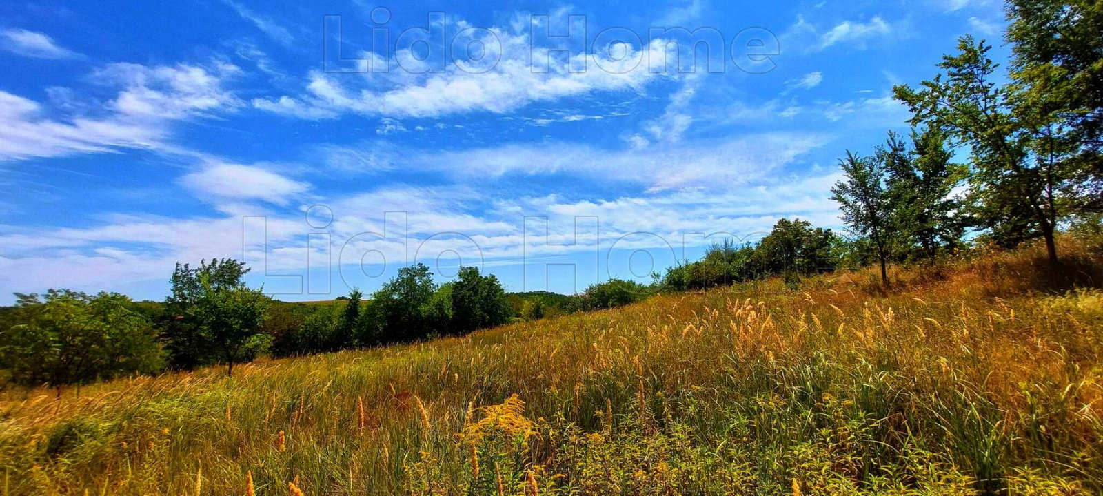 5484 m² · 5.000.000 Ft