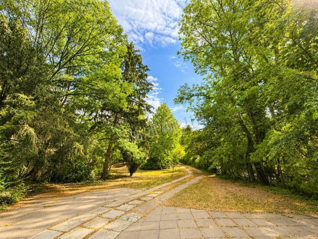 Eladó téglalakás, Budapesten, II. kerületben 299 M Ft