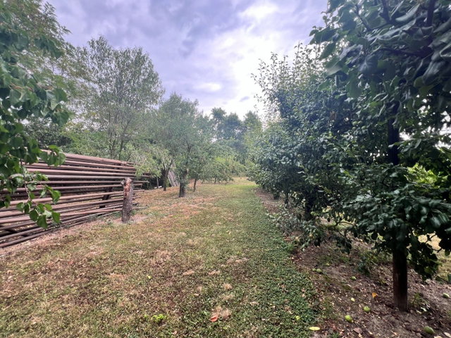 Eladó mezogazdasagi ingatlan, Mohácson 6.9 M Ft