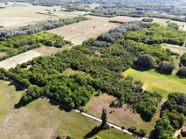 Eladó mezogazdasagi ingatlan, Fülöpházán 15.5 M Ft