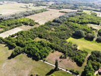 Eladó mezogazdasagi ingatlan, Fülöpházán 15.5 M Ft
