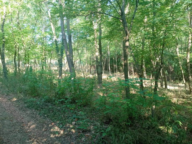 Eladó telek, Zalaszentgróton 3.5 M Ft / költözzbe.hu