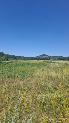 Eladó mezogazdasagi ingatlan, Zánkán 5.9 M Ft