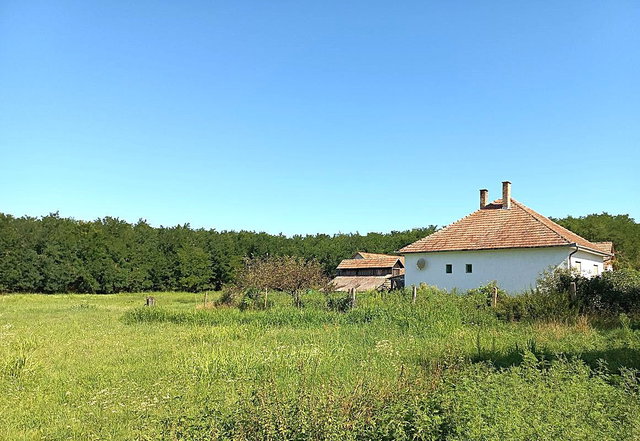 Eladó mezogazdasagi ingatlan, Nyírábrányon 55 M Ft