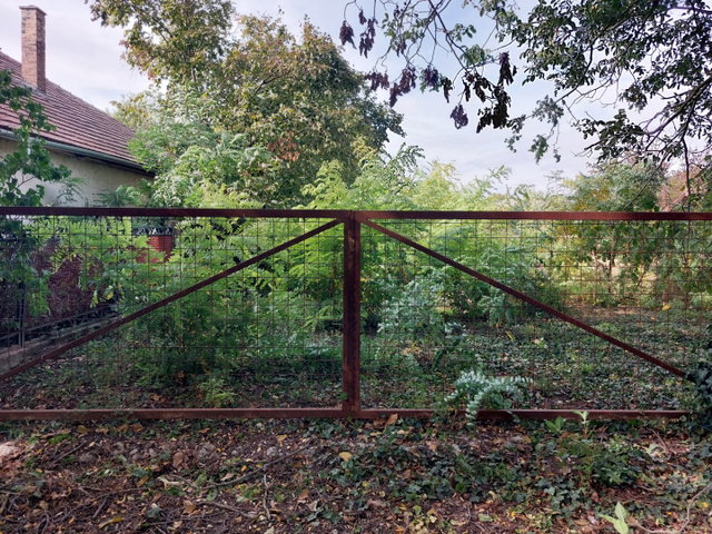 Eladó telek, Besnyőn 19.9 M Ft / költözzbe.hu