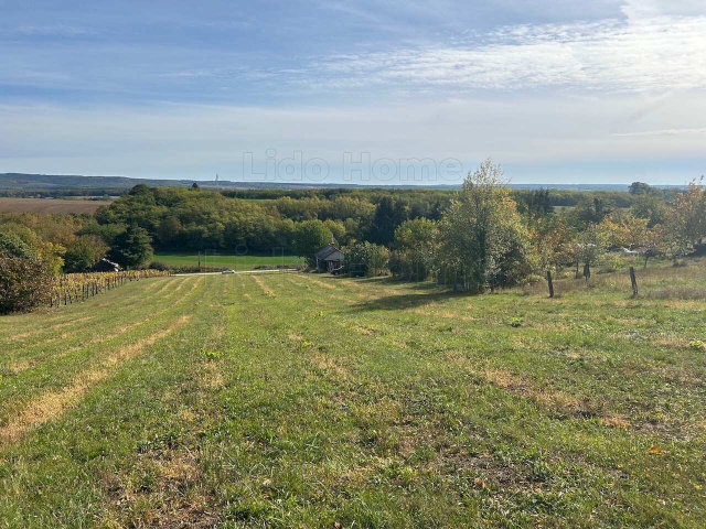Eladó mezogazdasagi ingatlan, Homokkomáromon 13.5 M Ft, 1 szobás