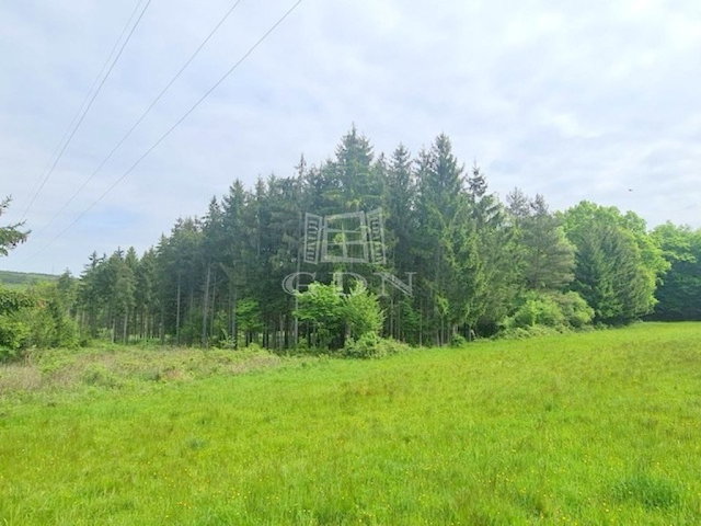 Eladó mezogazdasagi ingatlan, Nagyrákoson 75 M Ft