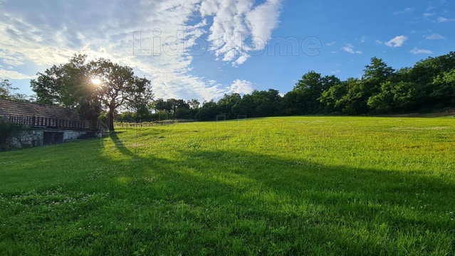 Eladó mezogazdasagi ingatlan, Balatonszőlősön 135 M Ft