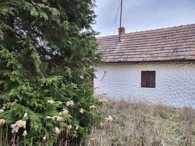 Eladó családi ház, Petrikeresztúron 5 M Ft, 1 szobás