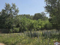 Eladó telek, Monorierdőn 9.9 M Ft / költözzbe.hu
