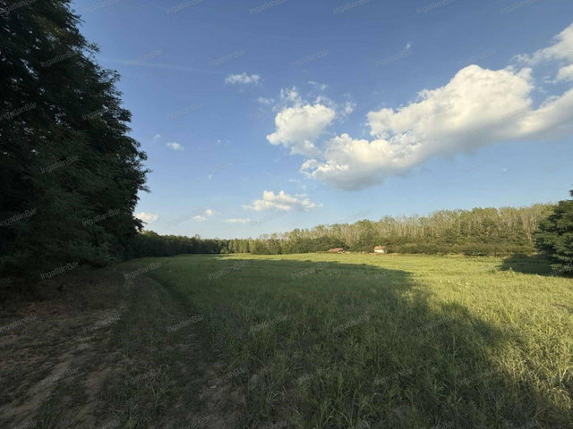 Eladó mezogazdasagi ingatlan, Anarcson 11.5 M Ft