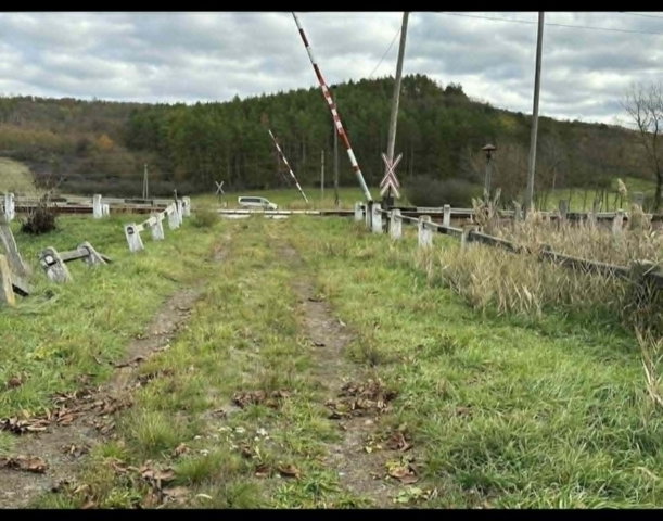 Eladó mezogazdasagi ingatlan, Bátonyterenyén 200 M Ft