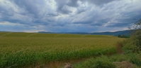 Eladó mezogazdasagi ingatlan, Héregen 18.5 M Ft, 1 szobás
